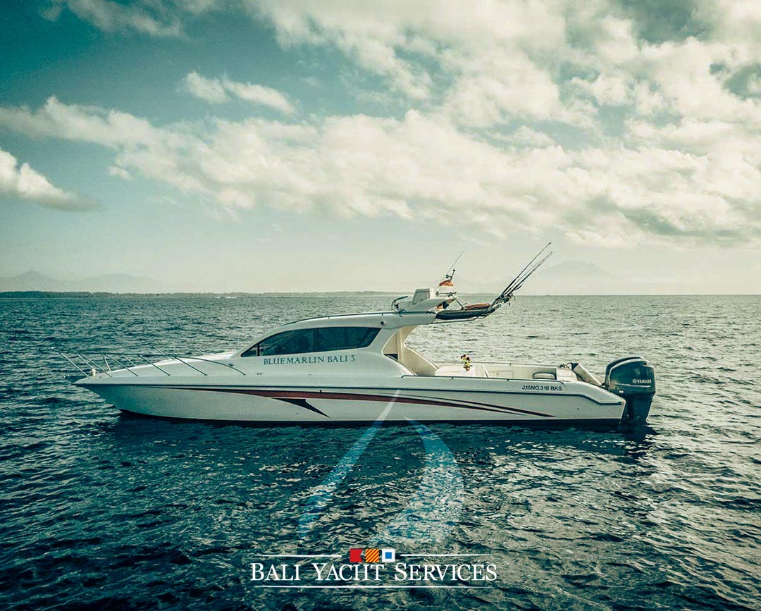 Bali Boat Rental Accura38