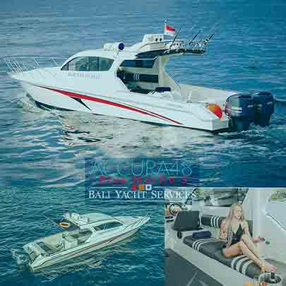 Blue Marlin 3 (Accura38 Speedboat)