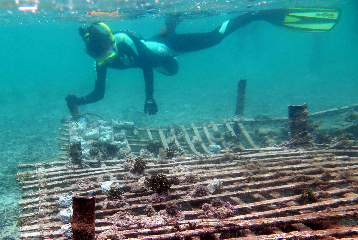 Bali Coral Reef Conservation Indonesia